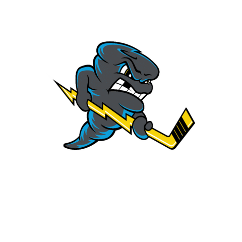 QCStorm giphygifmaker storm quad city storm qc storm Sticker