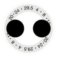 Montre Moon Phase Sticker by IWC Schaffhausen