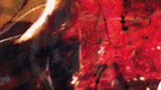 sub pop records GIF by So Pitted