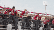 Gocougs GIF by WSU Pullman
