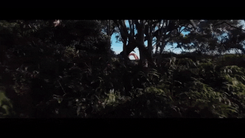 Davee286 giphygifmaker GIF