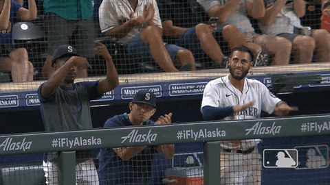 Regular Season Sport GIF by MLB