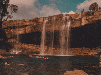 Suche Geschaeftsideen Die Es Noch GIF by FranchiseONE.de