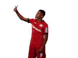 Bayer 04 Selfie Sticker by Bayer 04 Leverkusen