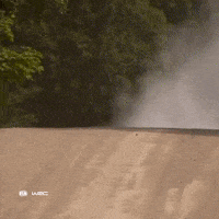 Toyota Yaris Jump GIF by FIA World Rally Championship