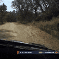 Fail Game Over GIF by FIA World Rally Championship