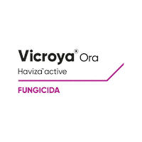 Vicroya Sticker by Cortevapy