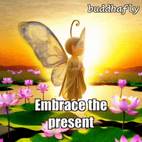 Peace Love GIF by BuddhaFlyJourney