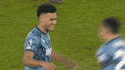 Ollie Watkins Hug GIF by Aston Villa FC
