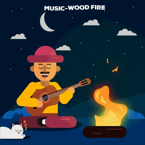 diegofernandosanchez giphygifmaker music night wood fire GIF