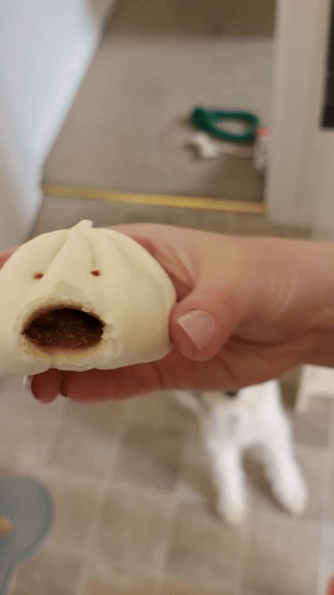 Singing Bao Bun