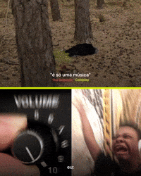 GIF by bmaisca