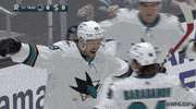 Ice Hockey Sport GIF by NHL