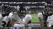 Baltimore Ravens Football GIF by NFL