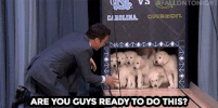 jimmy fallon nbc GIF by The Tonight Show Starring Jimmy Fallon