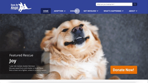 ameliatesch giphygifmaker GIF