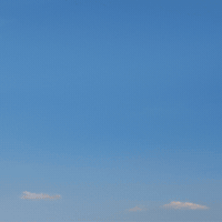 Lama GIF by Fio banka