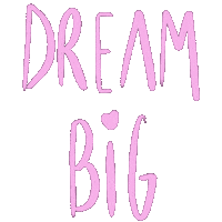Pink Dream Sticker