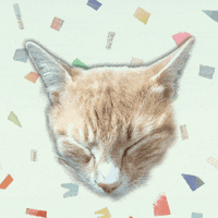 Sleepy Cat GIF by Papier Confetti