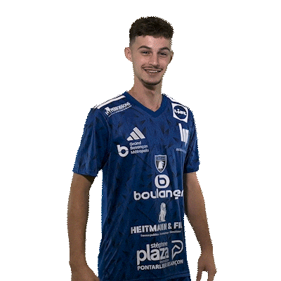 Hand Adidas Sticker by GRAND BESANÇON DOUBS HANDBALL
