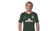 come on football Sticker by Bundesliga