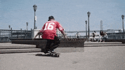 San Francisco Skate GIF by New Balance Numeric