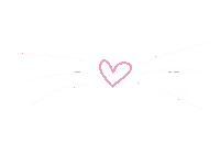 Whiskers Face Filter Sticker