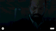 remember season 2 GIF by Westworld HBO