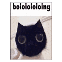 mushymelon cat boing bouncing cat Sticker