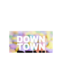 Denison Sticker