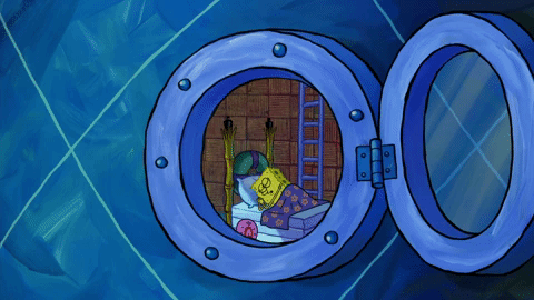 season 10 episode 3 GIF by SpongeBob SquarePants