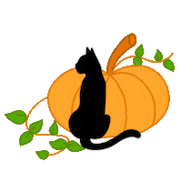 Cat Halloween Sticker