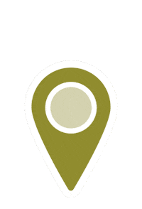 Travel Point Sticker by Pin Estudio