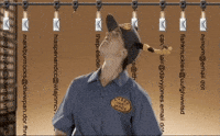 Funny GIF by Angela Shelton