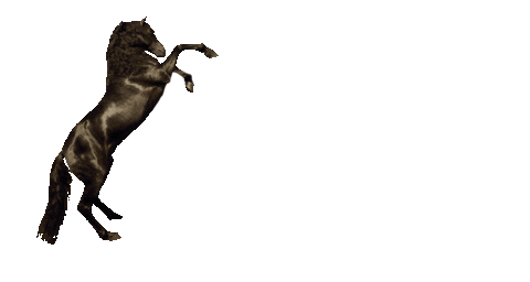 Cavall Sticker by Més Menorca