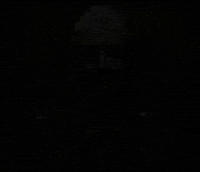 Nuremberg Fercho GIF