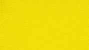 Sport Hand GIF by Team Chambé