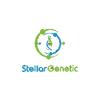 StellarGenetic logo brand owl stellar Sticker