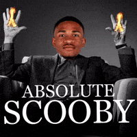 Utah Utes GIF