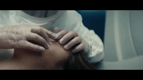 GIF by Signature Entertainment