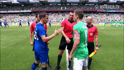 Stefanos Kapino Einklatschen GIF by SV Werder Bremen