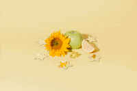 Happy Magic GIF by Drink Bev