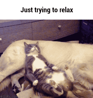laying GIF