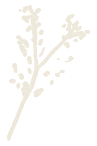 Naturaleza Sticker
