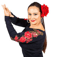 Baile Belly Sticker by Oriental Dance on line