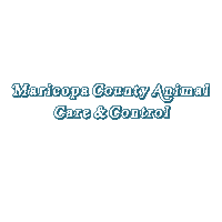 Shelter Dogs Sticker by Good Vibes Dogtography