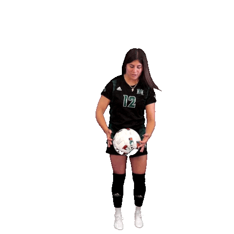 HRewards 12 uh wsoc peterson Sticker