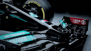 Formula 1 Sport GIF by Mercedes-AMG Petronas Formula One Team