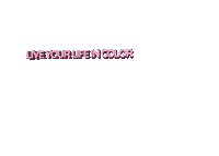 CrazyColorLtd pink life live color Sticker