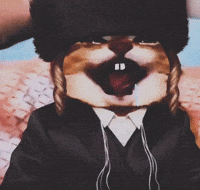 Mei Mei Cat GIF